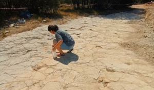 Presentan en Teruel el rastro más largo de un saurópodo del Jurásico en España