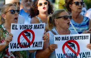 Virus del Nilo: 21 casos confirmados en Sevilla