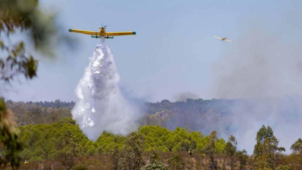 El incendio de Niebla (Huelva) afecta ya a 8.000 hectáreas