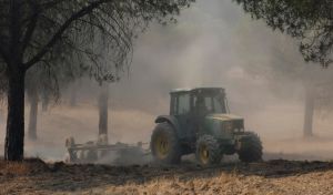 El fuego supera las 25.000 hectáreas en Huelva y en Riglos alcanza las 4.200