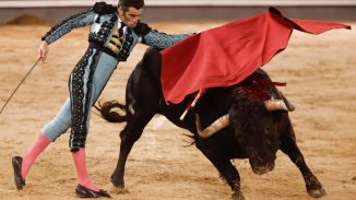 Crónica taurina | Las Ventas: Araúz de Robles o la importancia del toro