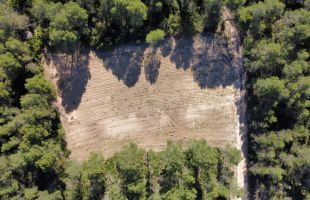 Requena y Utiel revitalizan su territorio para frenar los incendios y la despoblación