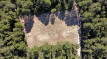Requena y Utiel revitalizan su territorio para frenar los incendios y la despoblación