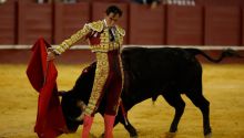 Un rotundo Fortes sale por la puerta grande de la Malagueta 
 