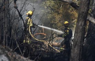 
Vuelven los últimos vecinos evacuados por el incendio de Huesca, ya controlado
 

 