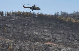 

Extinguido el incendio de Niebla después de 15 días y 33.000 hectáreas quemadas
 

 

 