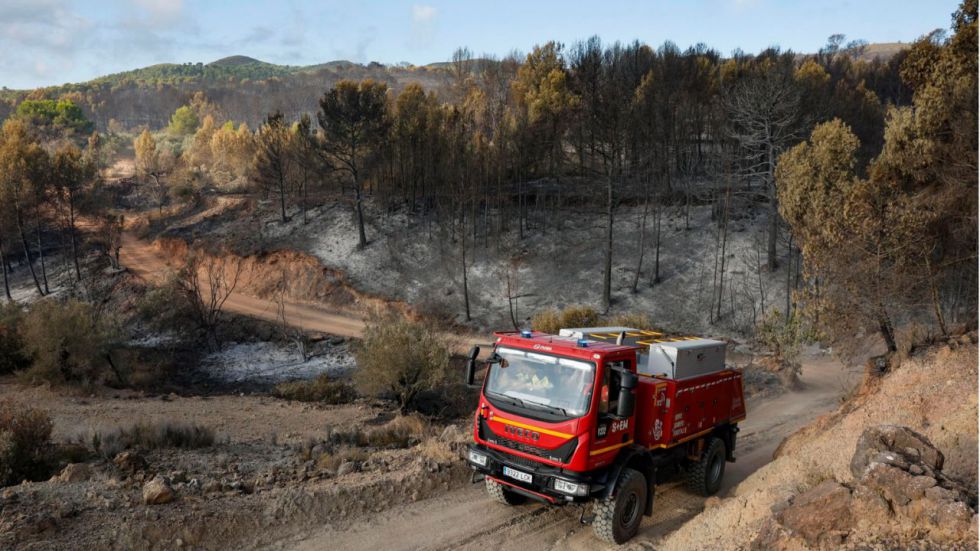 
Estabilizado el incendio forestal de Segorbe tras quemar 630 hectáreas
 

 