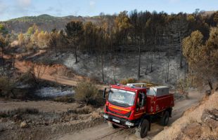 


Controlado el incendio forestal de Segorbe tras quemar cerca de 630 hectáreas

 

 

 