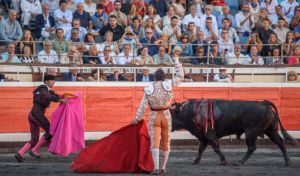 Los toros viven su renacer este verano: llenos históricos e impulso de los abonos