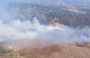 Controlado el incendio forestal en Benahavís