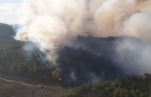
La lluvia ayuda a dar por estabilizado el incendio forestal en Tuéjar 

 