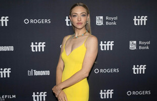 Amanda Seyfried y Thomas Sadoski se separan
