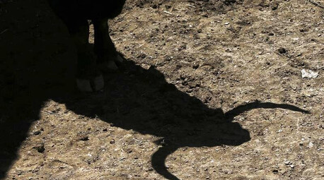 Crónica taurina | Plaza de Las Ventas: entre el triunfo y la miseria