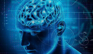 Un atlas molecular del cerebro revela claves compartidas de distintas enfermedades