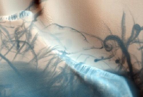Remolinos de polvo en la superficie de Marte