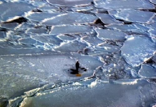 Rescate de un cazador en un mar helado de Canad