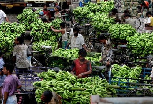 Vendedores de bananas en India.