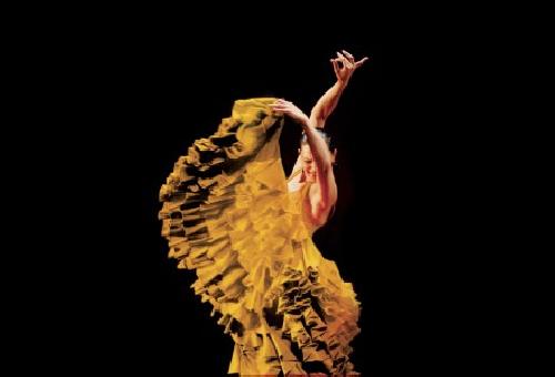 Compaa de Danza Flamenca de Paco Pea 