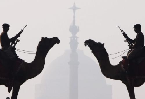 Camellos en Nueva Delhi